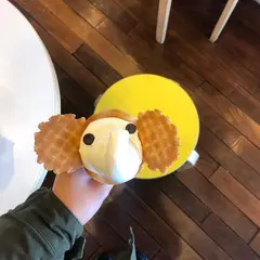 象の鼻パーク