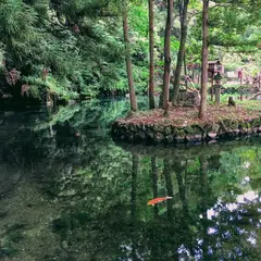 出流原弁天池湧水