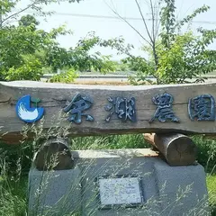 ㈲余湖農園