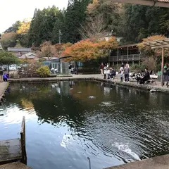 養老渓谷釣堀センター