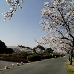 久留米百年公園