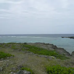 白鳥崎 西海岸公園