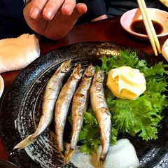 魚がうまい店と申します