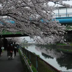 荒子川公園ガーデンプラザ