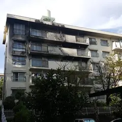 打上川治水緑地