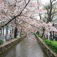 木屋町