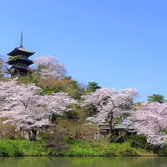 三溪園