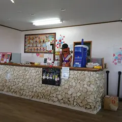 残波果実氷