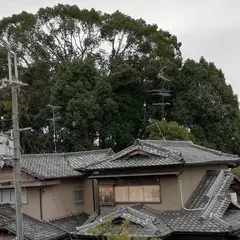 片平大塚古墳