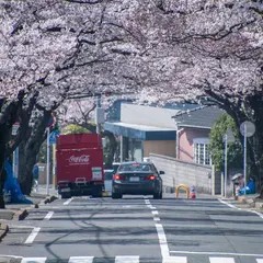 安部山公園