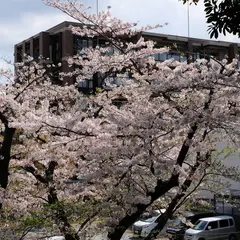 皇后崎公園