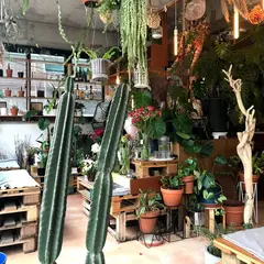 VER'S GARDEN (벌스가든)