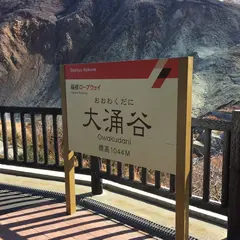 箱根ロープウェイ 大涌谷駅