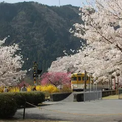 安野 花の駅公園