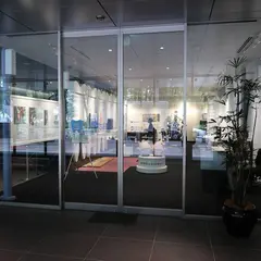 歯の博物館