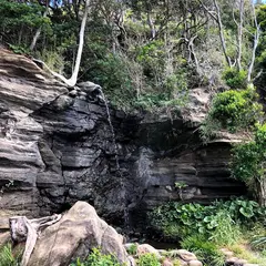 大房岬自然公園