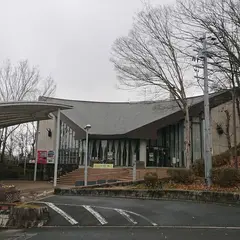 橿原市昆虫館