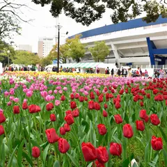 横浜公園