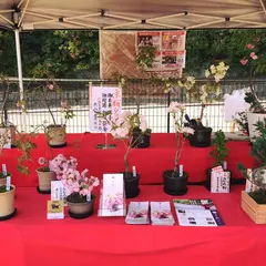 京都花室 おむろ