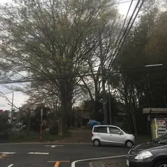 神亀酒造㈱