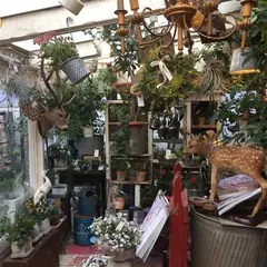 プー・コニュ