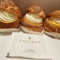 ANTENOR