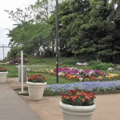 亀ヶ岡広場