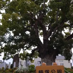 長曽根楠塚公園