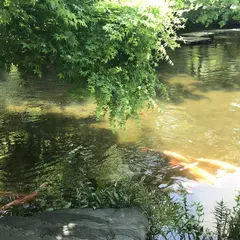 ホテルニューオータニ 日本庭園