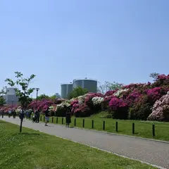 浅香山緑道（あさかやまりょくどう）