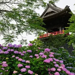 能護寺