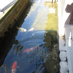 津和野城跡