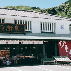 徳造丸 潮騒の道。伊豆稲取 志津摩海岸 。朝日夕日が綺麗な観光名所・遊歩道。太平洋伊豆七島の景色眺望も。