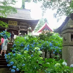 あじさい寺 高源院 お寺の民宿 高原荘