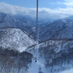 ドラゴンドラ山麓駅