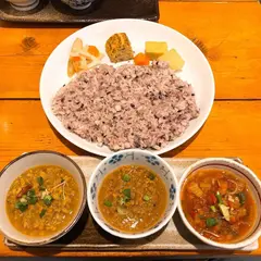 初台スパイス食堂 和魂印才たんどーる