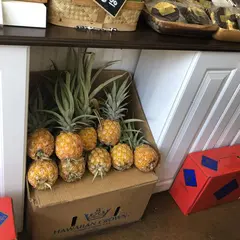 Hawaiian Crown Plantation