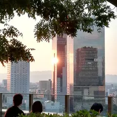 OSAKA SKY VISTA