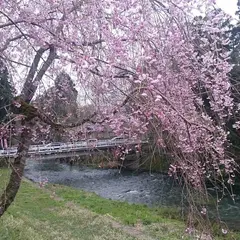 丸岡温泉 たけくらべ