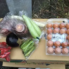 安田養鶏場