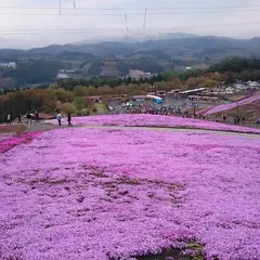 ジュピアランドひらた