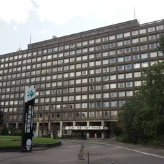 セイコーマート北海道庁