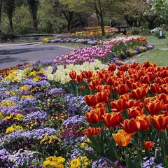 福智山ろく花公園