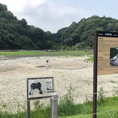 二階堂
