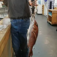 ざうお新宿店