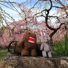東谷山フルーツパーク 果樹園