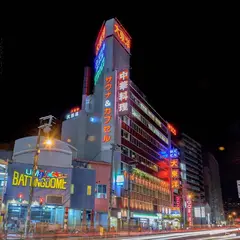 サウナ&スパ カプセルホテル 大東洋