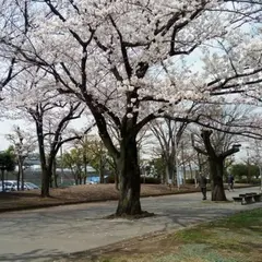 新小岩公園