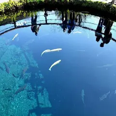 忍野八海