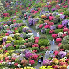 塩船観音寺